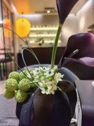 -苏州奥拉克美容医院