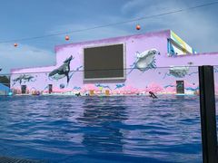 -渔岛海洋度假区