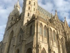 -斯蒂芬主教座堂(Stephansdom)