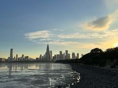 -深圳湾公园(南山区)