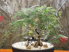 -苏州环秀晓筑养生度假村