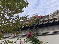 -苏州冶园园林民宿(太湖西山风景区店)