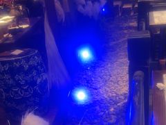 -绿茶餐厅(昆明世纪金源店)