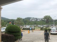 -大屏嶂森林公园