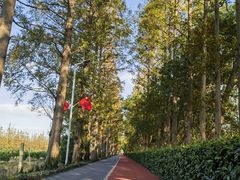 -上海长兴岛郊野公园