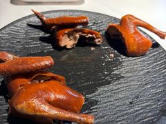 -三强鸽子(中原路店)