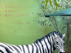 -大水的店(昙华林店)