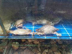 -香满居张记小厨私房菜(青岛站店)