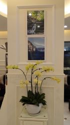 点击看大图 -艾维庭美学SPA