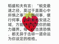 -安肯心理咨询(长宁旗舰店)