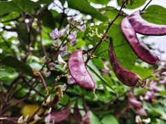 -敬亭山风景名胜区