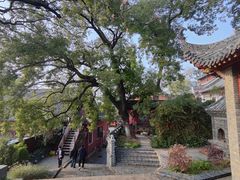 -长春观