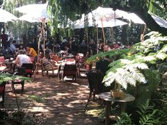 -Fern Forest Cafe
