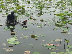 -西湖游船