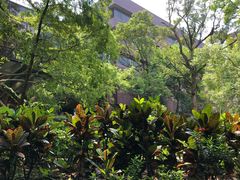 -香港大学
