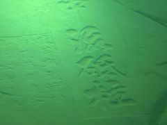 -白鹤梁水下博物馆