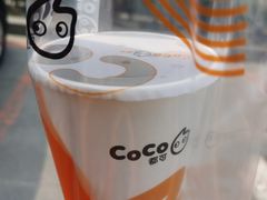 -CoCo都可(西安路民勇店)