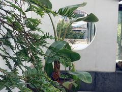 -大丰苑(海韵店)