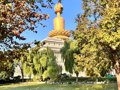 -兴隆文化园景区