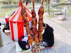 -杨柳青庄园