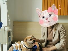 -乐派堂宠物医院·猫友好· 心脏科(东街店)