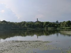 -北坞公园