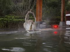 -天目湖御水温泉·度假酒店