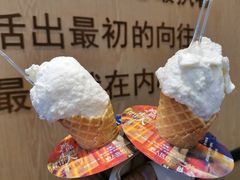 -野人先生现做冰淇淋(北京环宇荟店)