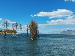 -大理洱海