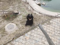 -石家庄市动物园