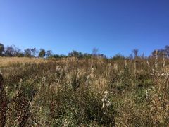 -白草畔自然风景区