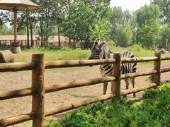 -大连森林动物园