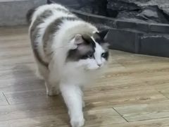 -白兔子密室(长寿路店)