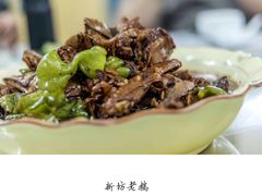 -新坊老鹅no·1