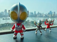 -上海小南国(正大店)