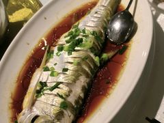 -金美华轩(东方路齐鲁店)