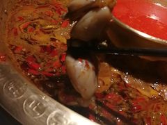 特色美蛙-哥老官重庆美蛙鱼头(宝山龙湖店)