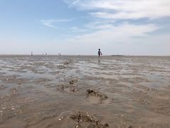-碧海金沙