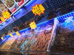 -必点海鲜·鲅鱼水饺(鞍山西道店)