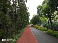 -上海长兴岛郊野公园