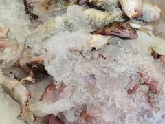 -牛天下·牛肉·海鲜·打边炉·融合菜