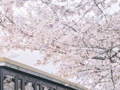 -上海辰山植物园