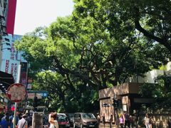 -九龙公园