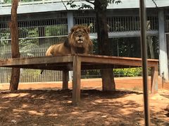 -昆明动物园