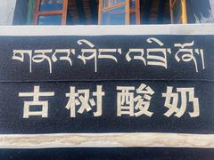 -古树酸奶(八廓南街店)