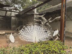 -南昌动物园