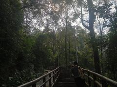 -水濂山森林公园