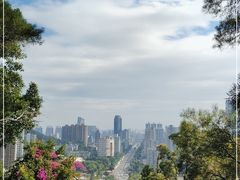 -板樟山森林公园