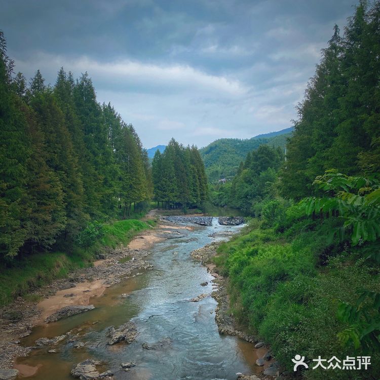 湖州安吉小杭坑营地｜可以带着狗狗🐶去的露营⛺地️