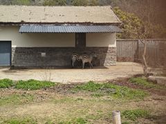 -上方山森林动物世界